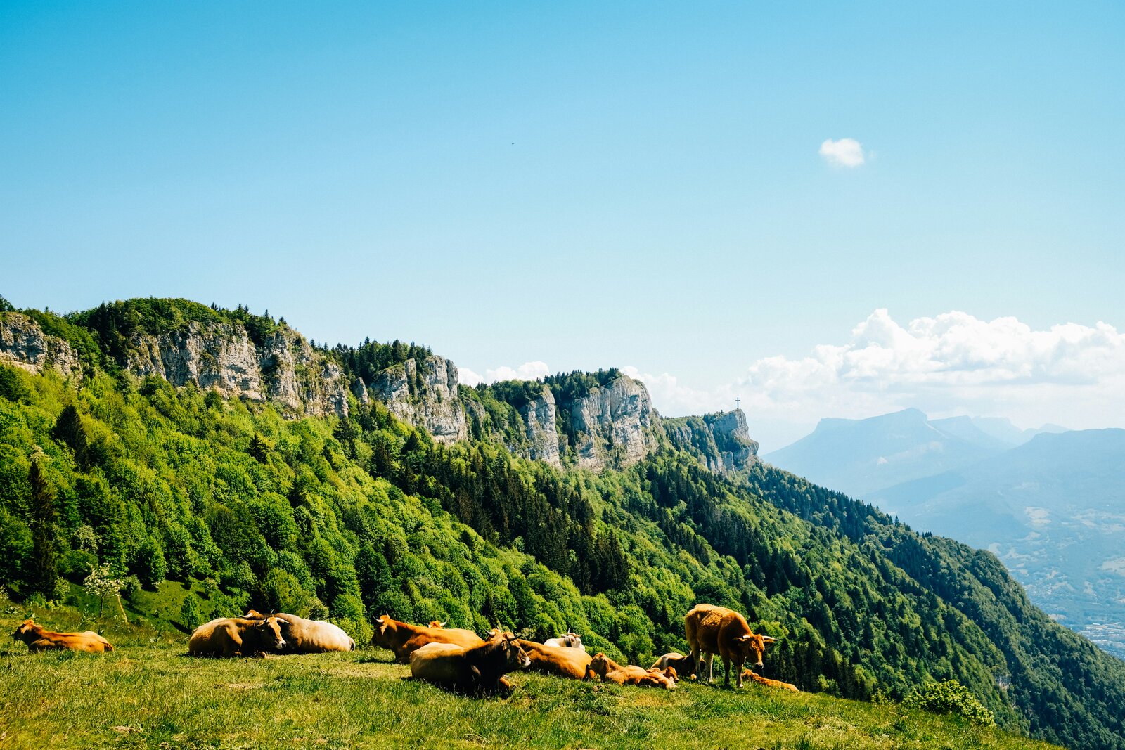 Randonnée dans les alpages des Bauges